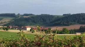 Logement pleine nature